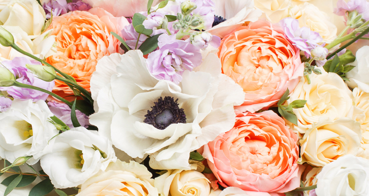 Black & Cook Florist Spring Flowers